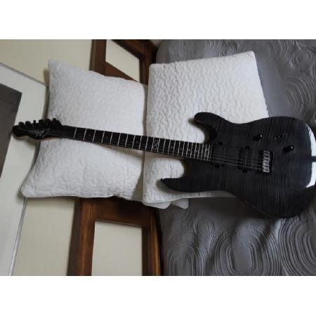 peavey guitar Image